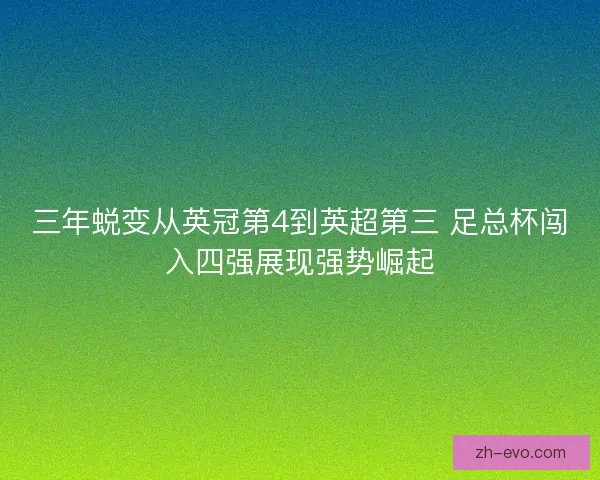 三年蜕变从英冠第4到英超第三 足总杯闯入四强展现强势崛起